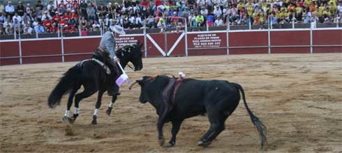 Mariano Rojo, en un momento del festival taurino