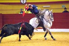 Otra feria de San Antonio en Collado Villalba para el olvido