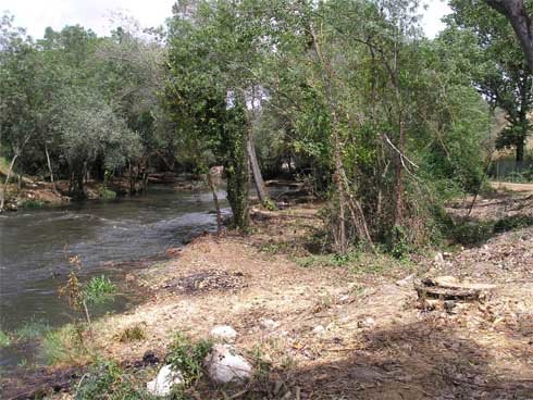 Esta actuación se ha centrado en la zona de Las Minas y Los Jarales