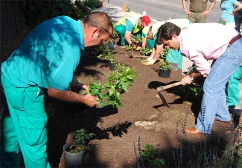 El Ayuntamiento y Apascovi colaboran en labores de ajardinamiento en varias zonas de Galapagar