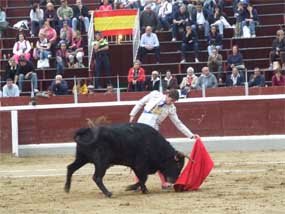 La crisis se deja sentir en la programación del verano taurino 