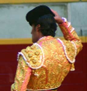 Los toros irán a Cultura