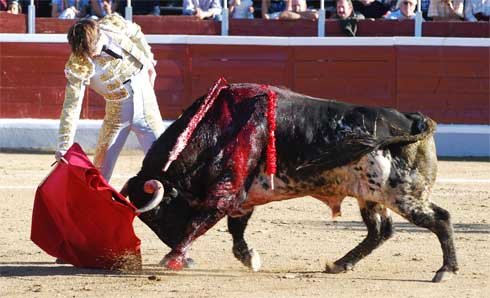 El novillero Adrián de Torres: “Cuando en Madrid te pones en el sitio, se valora”