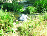 Bolsas de basura