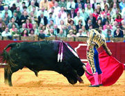 Robleño seguro que dará todo para triunfar en Villalba (Foto: ARCHIVO)