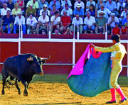 Buena y bien presentada fue la novillada de José Cruz (Foto: A. F.)