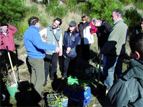 Nueva plantación en el Monte Abantos