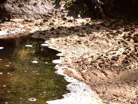 La solución a los vertidos fecales del arroyo Trofas a El Pardo llega finalmente desde Las Rozas 