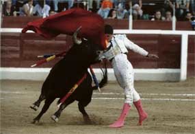 Juan José Cea, ganador  del Concurso de Fotografía Taurina de Guadarrama