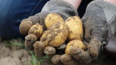 Los agricultores y ganaderos de la Comunidad de Madrid perciben 20,1 millones de euros de la PAC