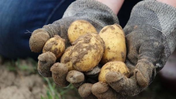 Los agricultores y ganaderos de la Comunidad de Madrid perciben 20,1 millones de euros de la PAC