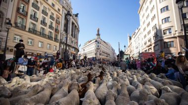 La Comunidad de Madrid como escenario de un encuentro internacional en defensa de la trashumancia como Patrimonio Cultural de la Humanidad