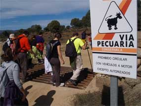 La marcha por la Senda de las Merinas reúne a 100 personas en la etapa entre Valdemorillo y San Lorenzo