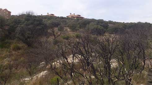 El desarrollo de Las Marías supondrá la pérdida de 40,6 hectáreas de terreno de gran valor ambiental 