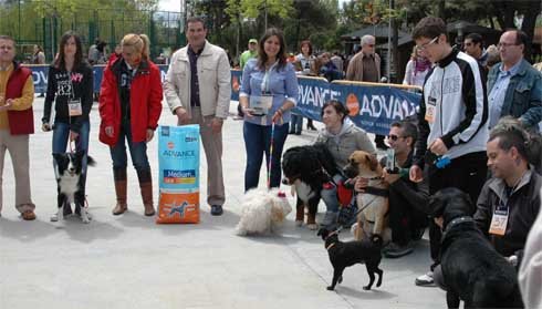 Gran éxito de participación en la Feria Canina de Collado Villalba