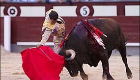 Fandiño y el novillero Gonzalo Caballero puntúan en San Isidro