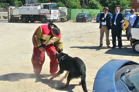 Dos perros policía ayudarán en la lucha contra el ‘menudeo’