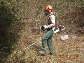 El Ayuntamiento de Torrelodones triplica el terreno objeto de desbroce