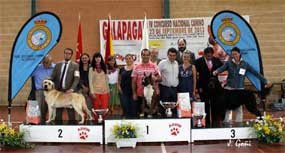 El cuarto Concurso Nacional Canino reúne a más de 200 participantes en Galapagar