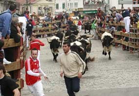 Diez razones para no perderse las fiestas en honor a San Miguel y San Francisco de Asís