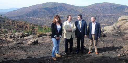 El Plan de Reforestación del incendio de la Sierra Oeste estará listo en menos de un mes