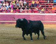 La ganadería del Conde de la Corte, premiada por partida doble (Foto: ARCHIVO)