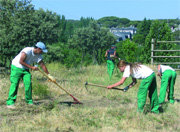 Varios alumnos de la escuela taller, trabajando en labores de mantenimiento (Foto: CEDIDA)