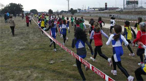 Más de mil atletas de toda la Comunidad se citan en  el XXVII Cross de Villalba 