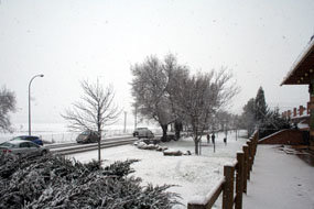 Nevada en el entorno de la carretera de Collado Villalba a Moralzarzal (Foto: Arancha Ortega)