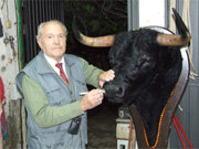 Justo, terminando la cabeza de un serio novillo de Guadarrama (Foto: ARCHIVO)