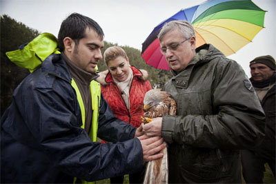 La Comunidad de Madrid libera un ejemplar de milano real que fue abandonado en la M-501