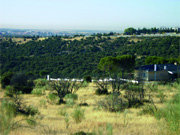 Vista del Área Homogénea Norte de Torrelodones (Foto: ARCHIVO)