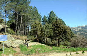 Los centros de atención al visitante del Parque Nacional estarán en Cotos, Rascafría, Cercedilla y Manzanares