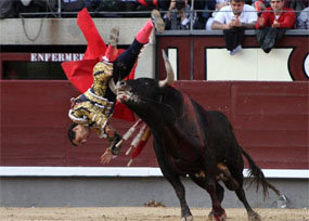 Iván Fandiño paga con sangre su triunfo en Las Ventas ante un bravo toro de Parladé