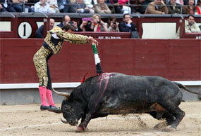 La emoción en la recta final de la Feria de San Isidro vino con los toros de Adolfo Martín