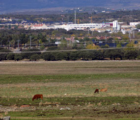 Los trabajos de recuperación del circuito de la Dehesa comenzarán en otoño