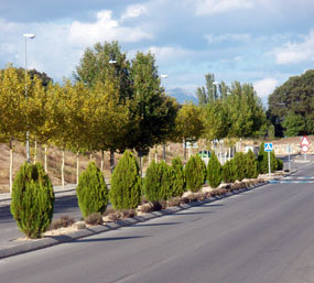 El proyecto del Ejecutivo de El Escorial para crear un campo de golf en El Tomillar supera el Estudio de Impacto Ambiental