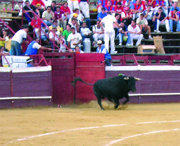 Imagen de una novillada lidiada en la feria de Los Molinos