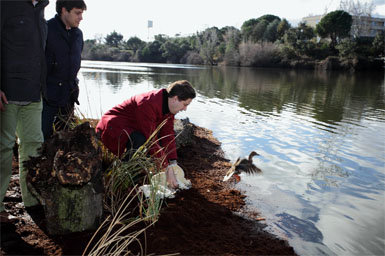 La Comunidad mejora los ecosistemas del río Guadarrama para impulsar la biodiversidad