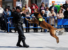 La unidad canina de la Policía organiza unas jornadas sobre adiestramiento