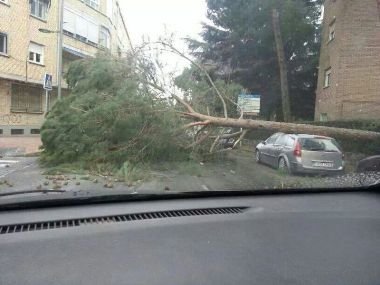 La Policía de Guadarrama realiza más de 30 intervenciones ante el temporal de viento