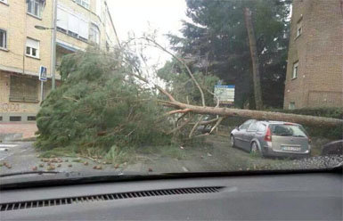 Del temporal de viento a la nieve y el hielo: una complicada semana en la Sierra del Guadarrama  