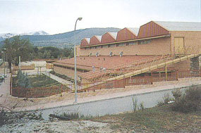 UNPA denuncia el despido de dos trabajadores del polideportivo de Alpedrete