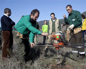 La Comunidad de Madrid, a la cabeza en el esfuerzo reforestador