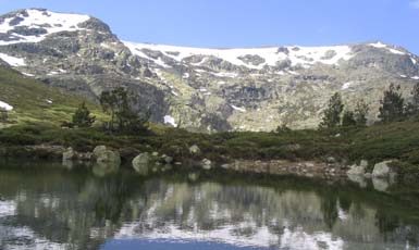 La Comunidad de Madrid programa rutas guiadas por el Parque Nacional para divulgar y proteger sus valores