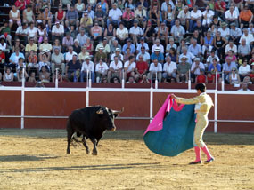 Villalba y Navacerrada definen la estructura de sus ferias taurinas