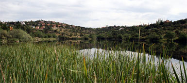 El PP pide al Ejecutivo que aclare las cuentas de la cesión del embalse de Los Peñascales