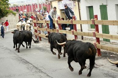 “Es importante que todo el mundo encuentre su sitio en estas fiestas”