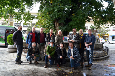 Un grupo de expertos europeos visita la olma de la plaza Mayor de Guadarrama