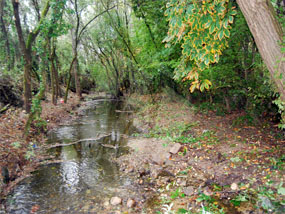 La CHT comienza las labores de limpieza y desbroce  en el arroyo de Trofas